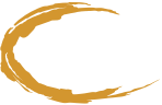 CSS Manager It Professional
