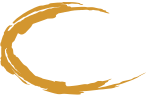 CSS Manager It Professional