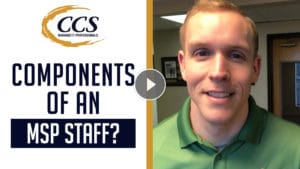 What Are The Components Of An MSP Staff?