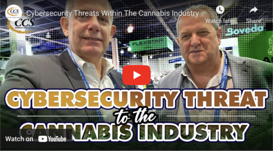 Protect Your Cannabis Business from Cybersecurity Risks