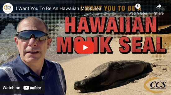 Be A Hawaiian Monk Seal: Stay Within Your Security Boundaries